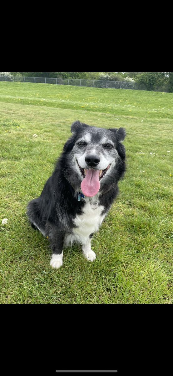 Tracey Winters tweet media