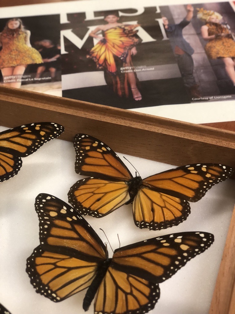 NHM_Science's tweet photo. Are you coming to the #NHMLate 20 October? Scientists from @NHM_Digitise @NHM_Botany @NHM_Coleoptera and more will be sharing specimens that have inspired iconic fashion designers over the years and giving you the opportunity to use our specimens to inspire your own designs. https://t.co/bnAaDXgsvK