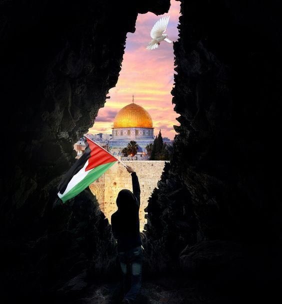 اللهم بردًا وسلامًا على أهل غزة 

اللهم اربط على قلوبهم وآمن روعاتهم، اللهم الطف بهم وخفف عنهم، وإرحم موتاهم واشف جرحاهم

اللهم انصر أخواننا في فلسطين وثبت أقدامهم وسدّد رميهم ووحّد صفوفهم وأكتب لهم نصرًا مؤزرًا

يارب انصر فلسطين ❤️🇵🇸

.
  #GazaAttack   #PalestineGenocide