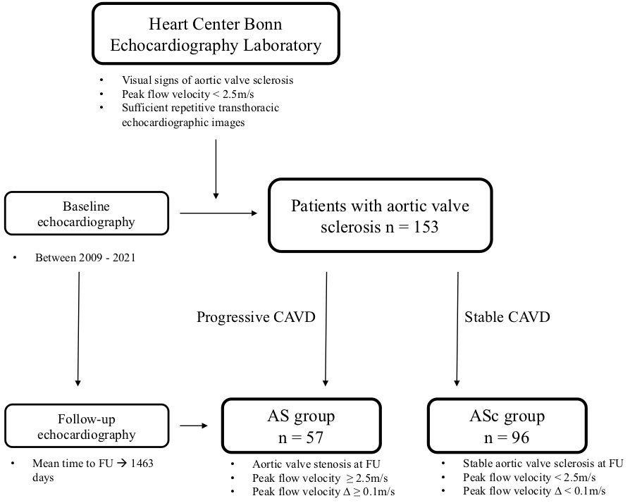 SusieSu11733465's tweet photo. #RCM Article Share

💐"Echocardiographic Progression of Calcific Aortic Valve Disease in Patients with Preexisting Aortic Valve Sclerosis" from @JaSham10, @bara_doc, @AtsushiSssugi, @NihalWilde, @VictorMauriMD et al.

#CAVD #aortic #stenosis #sclerosis

💌
https://t.co/AHZGYIhEQf https://t.co/jHUiHxNeEm