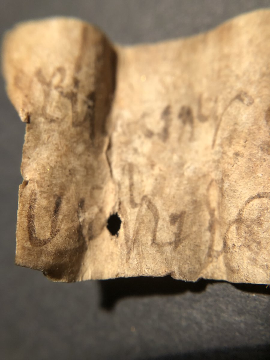 Last week, in Sens, examining our first set of early medieval relic labels. 

#craftingdocumentsox
#medievaltwitter 
#medievalmanuscripts
#History