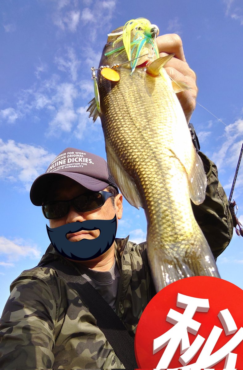 ⭐︎レイドジャパン　虎枠⭐︎ raidjapan