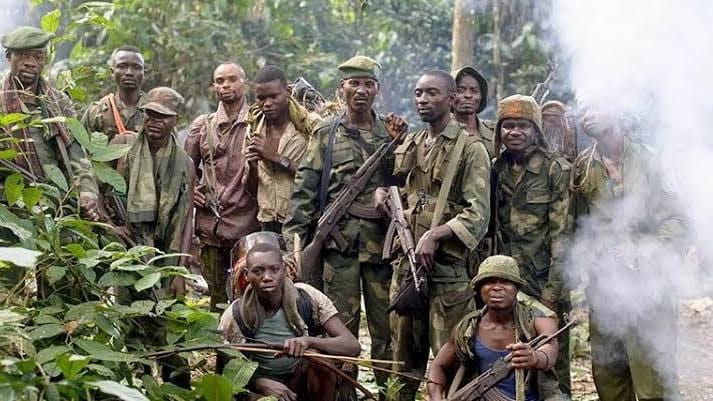 Les Wazalendo sont une coalition de groupes armés, tels que les Maï-Maï, dont leur chef, Janvier Karairi, est sous sanctions de l'ONU, ainsi que les Nyatura et d'autres, y compris les FDLR, une milice génocidaire également sous sanctions de l'ONU. Les rebaptiser 'Réservistes',