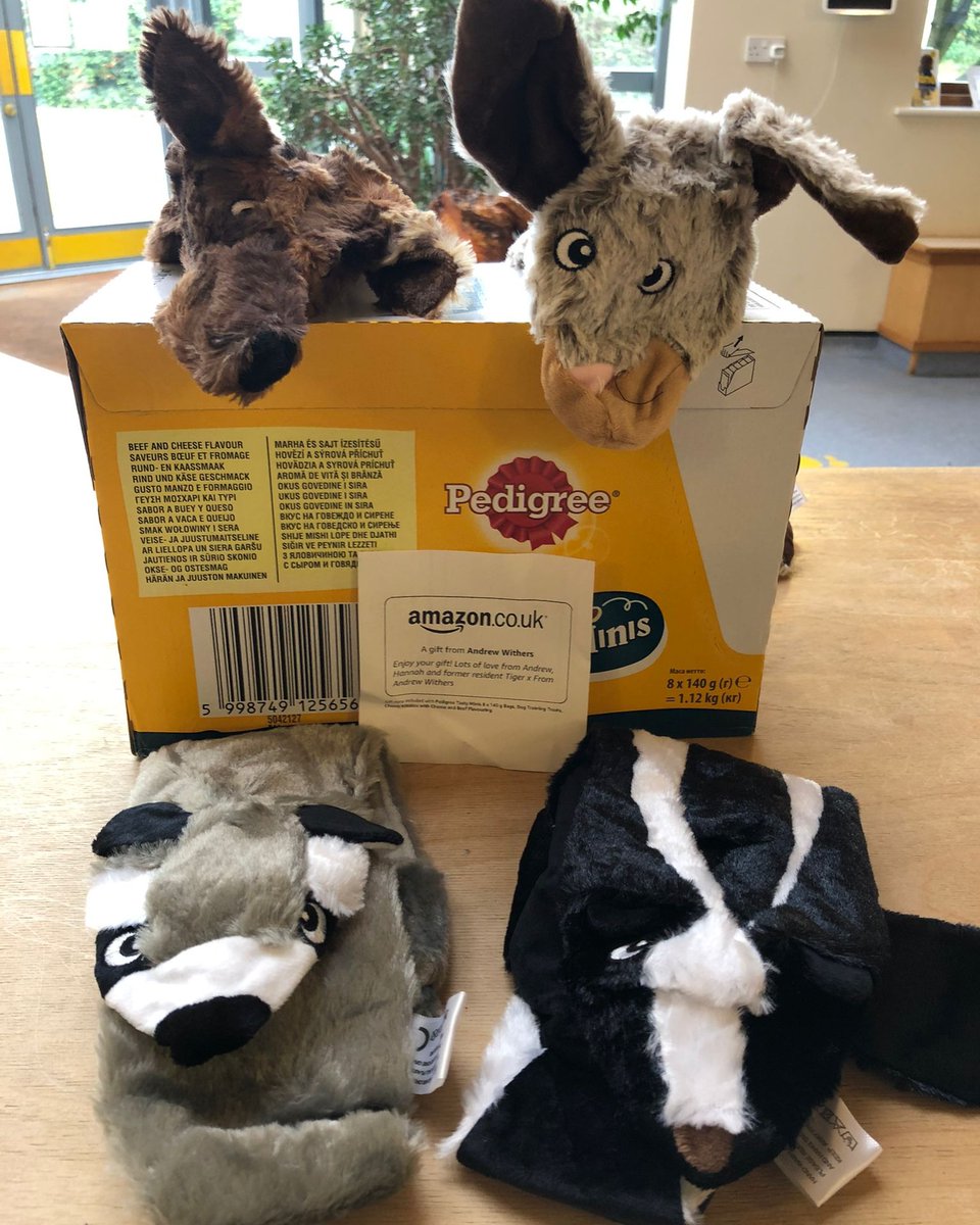 A massive THANK YOU to Tiger and Rolo's family for sending these lovely gifts from our Amazon Wishlist ❤️ We and the dogs hugely appreciate it! If you'd like to send our dogs a treat, you can visit our wishlist here ➡️ bit.ly/3BP2vh1