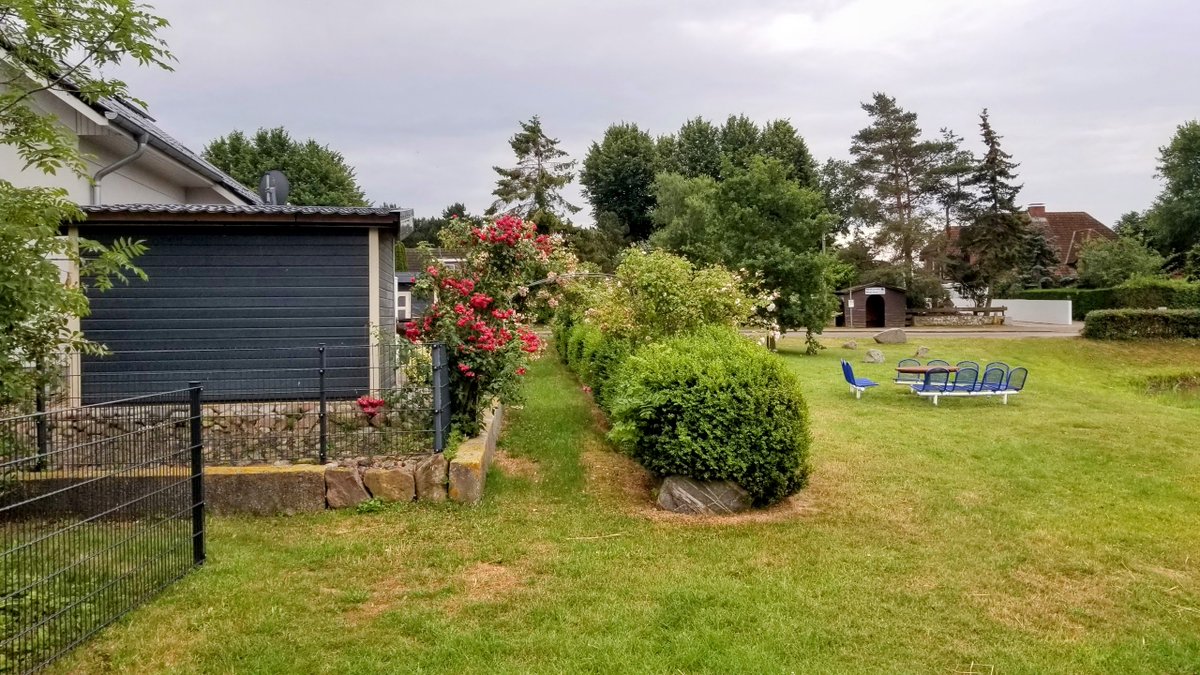 Impressionen von Fehmarn... 
 #Fehmarn #Ostsee #Insel #Ferien #Urlaub #ostseeliebe #küstenliebe #balticsea #meerliebe #schleswigholstein #strand #meerweh #ostseeurlaub #reiselust #ostseekult 
natuerlichfehmarn.de