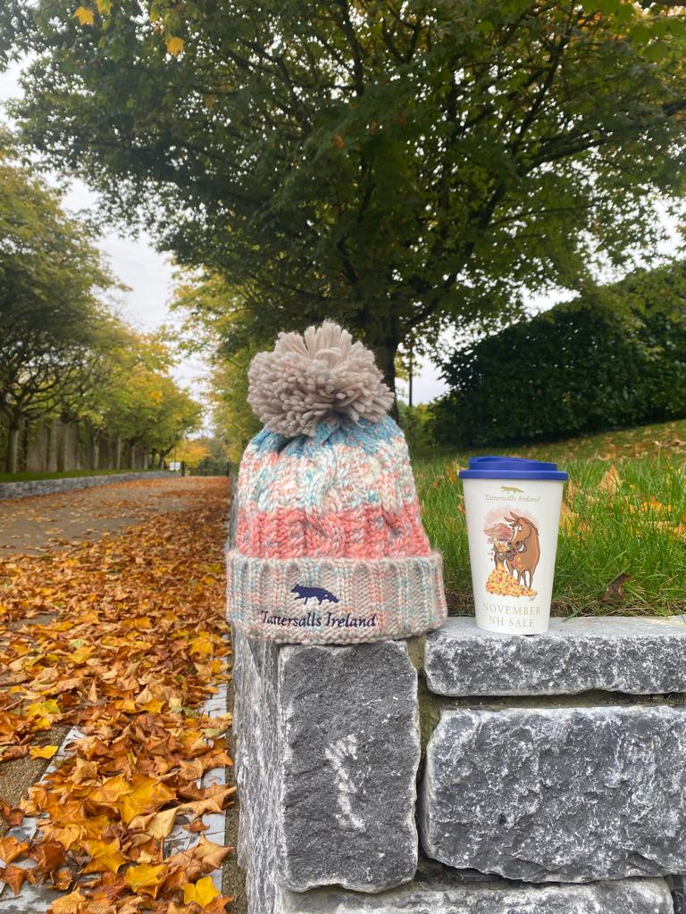 🚨COMPETITION TIME🚨

To celebrate the November NH Sale catalogue 📔arriving in your 📭 we are giving away a bobble hat &amp; a <a href="/DarrenBirdie/">BIRDIE</a> travel mug to 3⃣ lucky winners 🏆

All you have to do is 👇

Follow @tattersalls_ie ✅
Like this post to enter ❤️