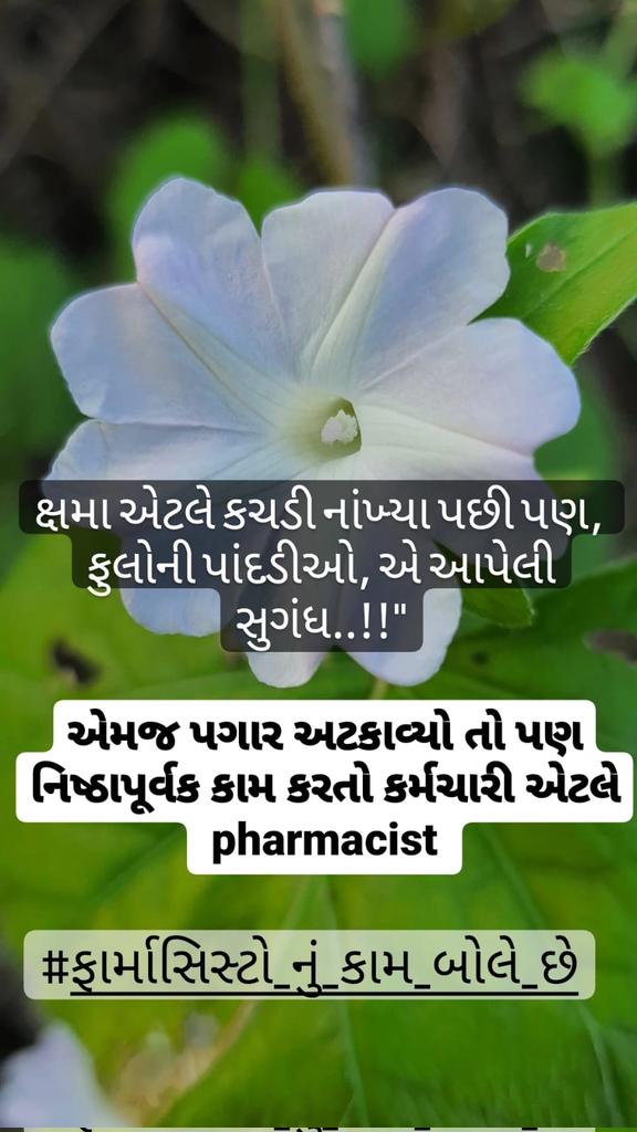 વિશ્વમાં છેલ્લી એક સદીમાં સૌથી વધુ દાન કરવામાં 'હેનરીવેલકમ' જે ફાર્મસિસ્ટ હતા ત્રીજા નમ્બરે છે.ફાર્મસિસ્ટ હંમેશા સમાજને દેતો આવ્યો છે.બદલામાં આજે ફાર્મસિસ્ટ કેવી અંડરરેટેડ દયનીય પરિસ્થિતિમાં નોકરી કરે છે તે મનોમંથનનો વિષય છે.#acknowledge_ pharmacist <a href="/mdnhmgujarat/">Mission Director,National Health Mission,Gujarat</a> <a href="/irushikeshpatel/">Rushikesh Patel</a>