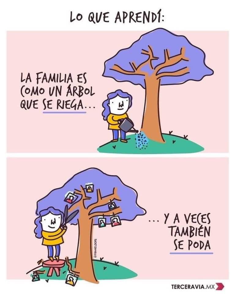 NoeCabrera1802's tweet photo. Buenos días!!! https://t.co/QUGJ57Uwj8