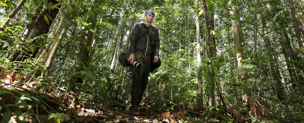 La Fundación BBVA premia a @MongabayOrg por crear una plataforma de periodismo ambiental con una red global de reporteros que trabajan sobre el terreno en las regiones con la biodiversidad más rica y amenazada del planeta #PremioBiophilia #medioambiente bbva.info/46TfNX9