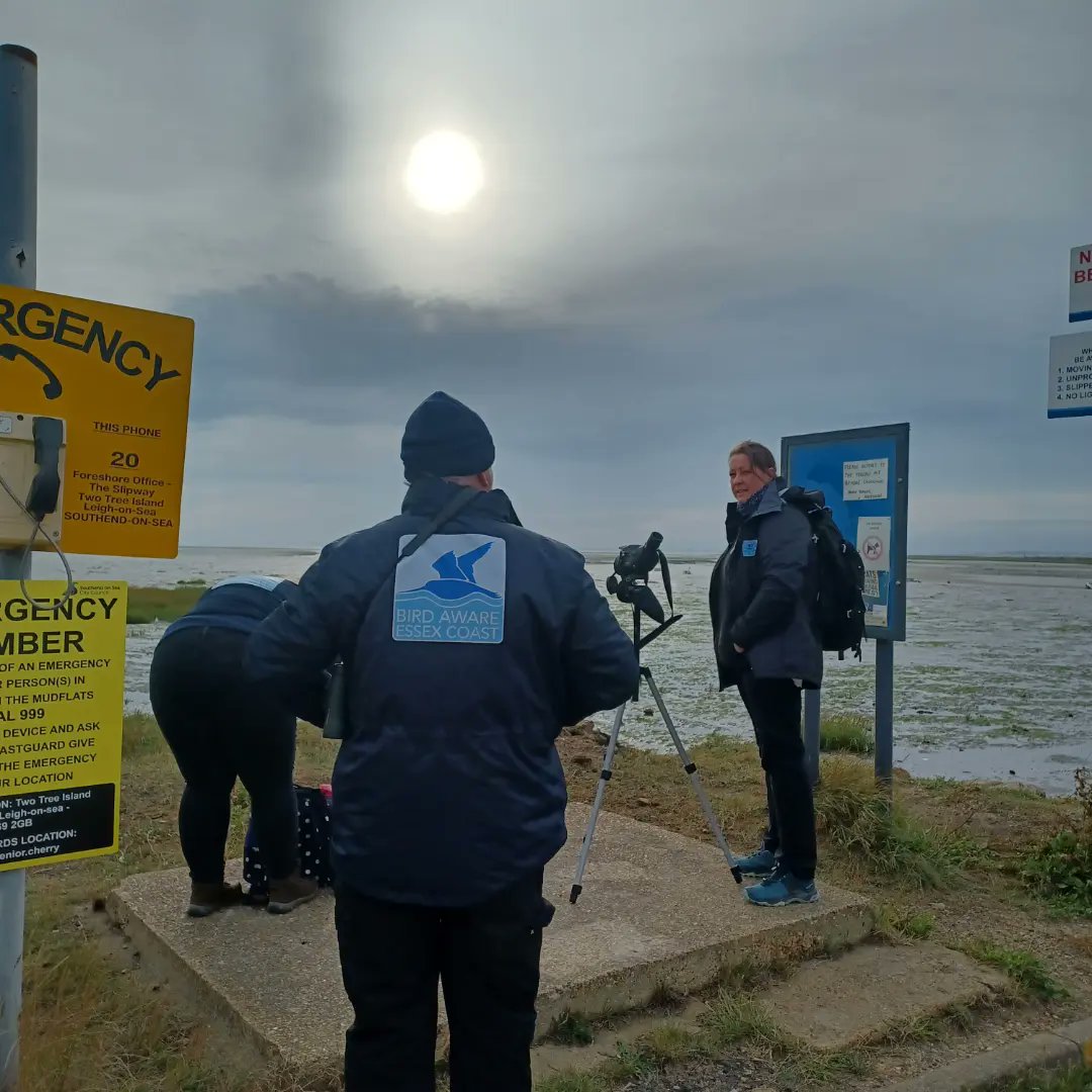 BirdAwareEssex's tweet photo. The first #greatcoastalbirdwatch23 in Essex continues on #twotreeisland. We will be here for the next hour and then will move to #chalkwellbeach at lunchtime. https://t.co/a2vCiH7uPi