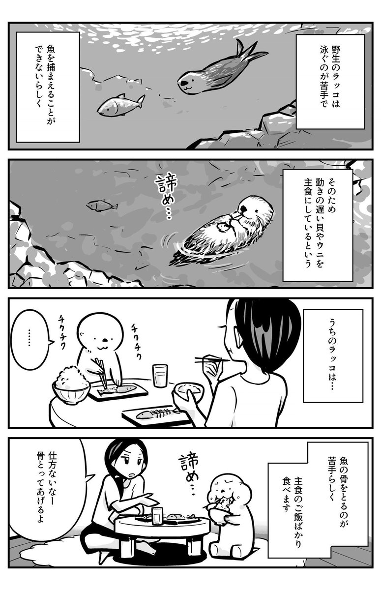 「ラッコのご飯」 再掲4コマ  YouTubeにも音つけてあげました↓ 