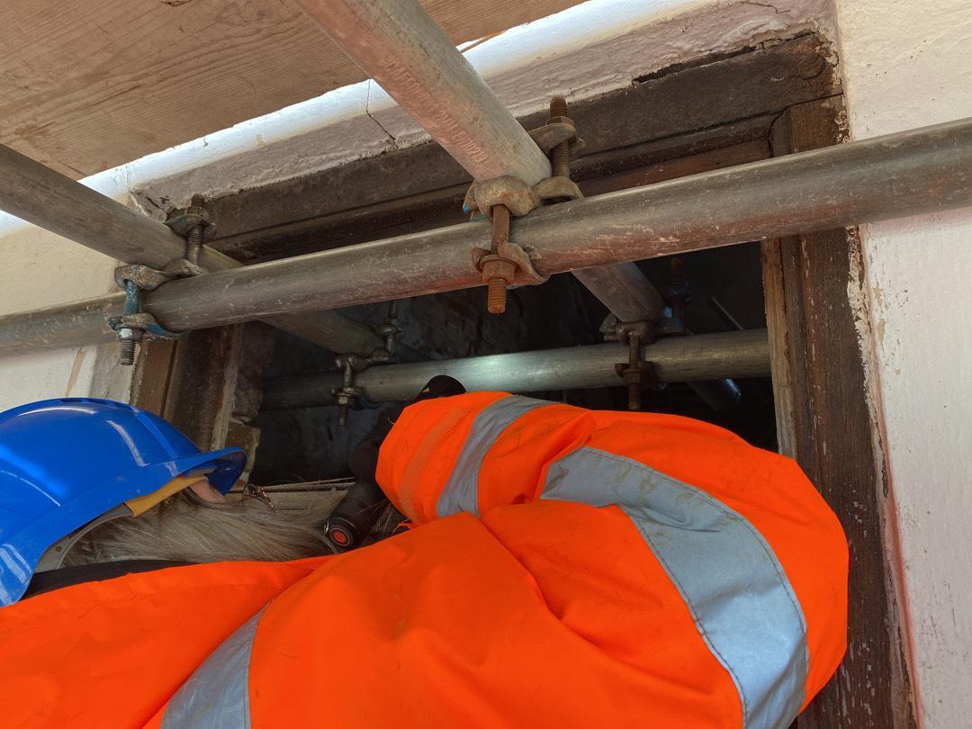 RammSanderson's tweet photo. Bat dusk &amp; dawn survey season may be over, but Preliminary Roost Assessments (PRA) can be completed all year round! 🦇
Our licensed ecologists undertake all types of surveys for #Bats. 
Find out about our full range of bat services here https://t.co/KZzx0HmhJB
#Ecology #surveys https://t.co/4Cs0bbyWxC