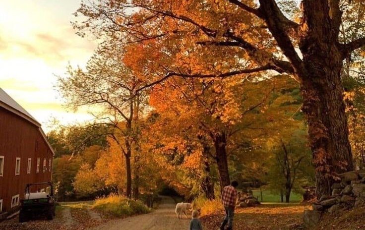 AcademiaDreams's tweet photo. https://t.co/NY6CwFJzkj
