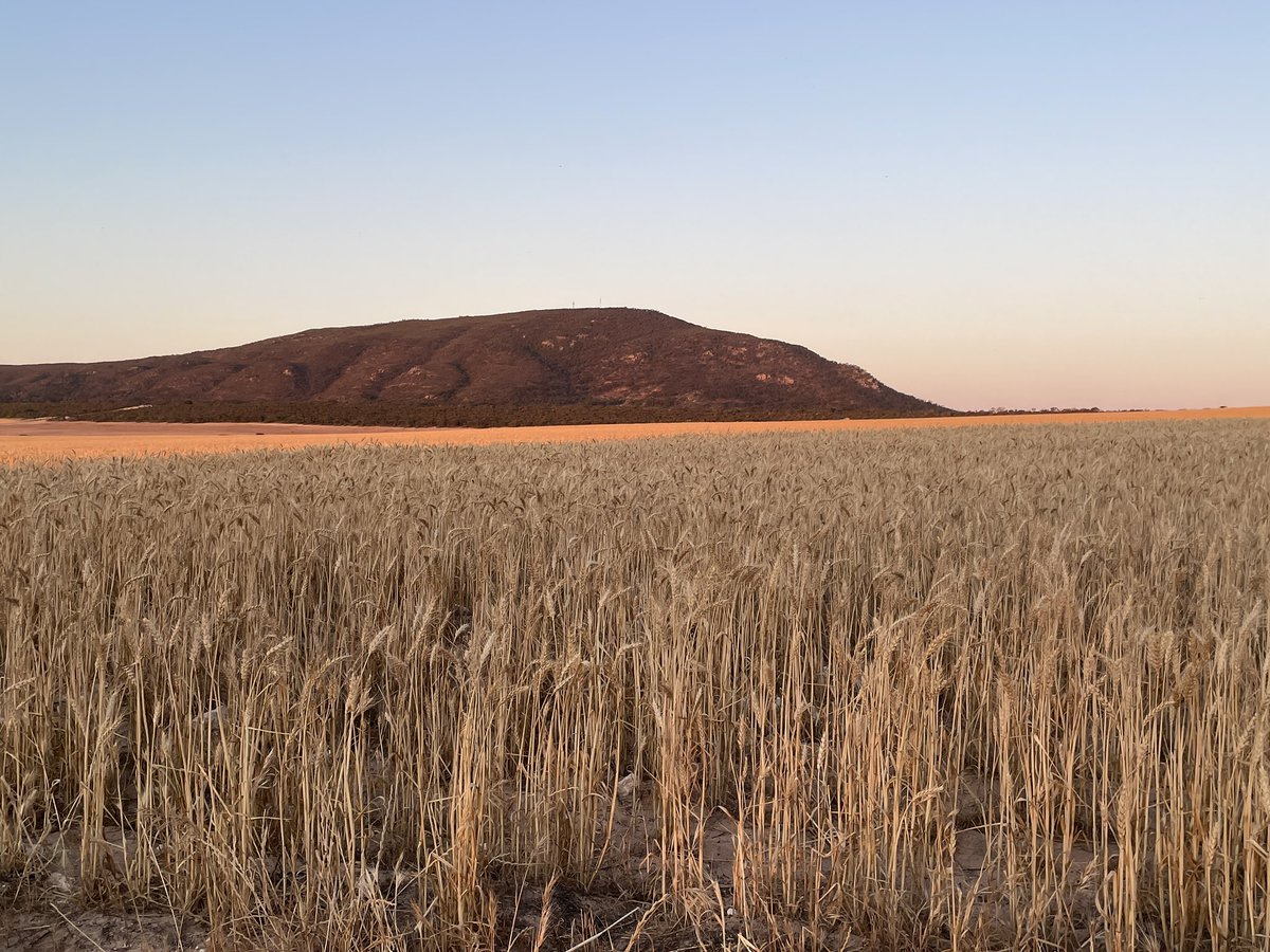 Not a bad night to sit and stare at a big rock 
#ausag #eyrepeninsula