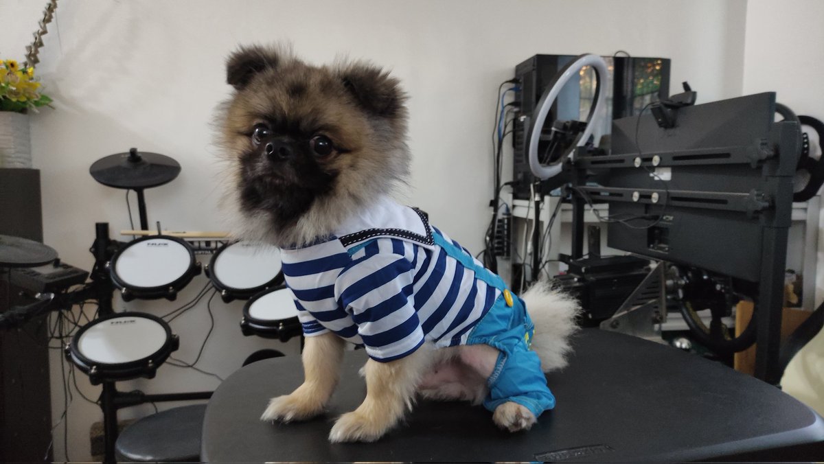 zeendrom tweet media