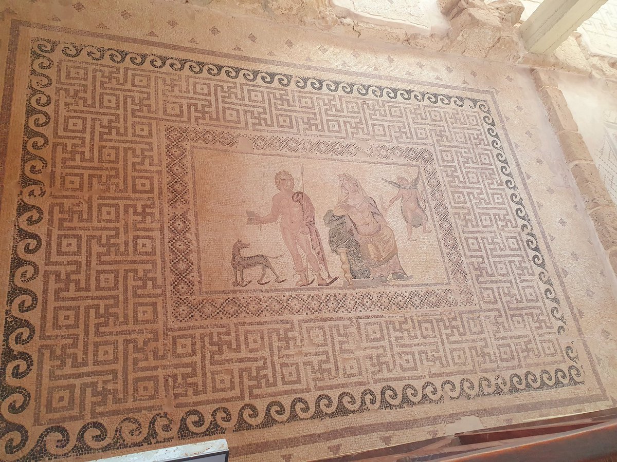 DougallM's tweet photo. Some tremendous mosaics in the House of Dionysus #Cyprus #Paphos https://t.co/FYKZo0B0a1