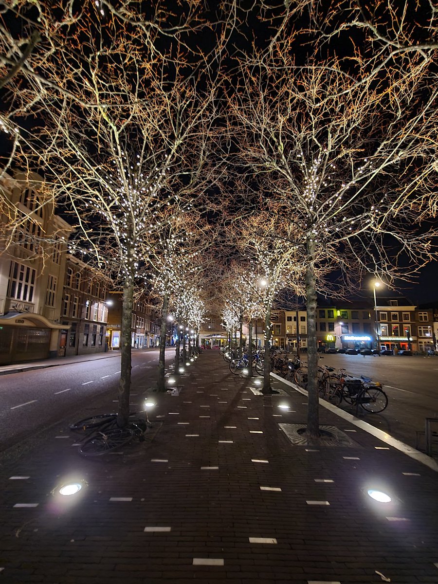 Last year winter decorations #Netherlands #bestofnetherlands #Leiden #stadvanontdekkingen #gemeenteleiden #visitleiden #morning #trees #lights #street #mobilephotography #smartphone #streetphotography #city #pavment #bricks