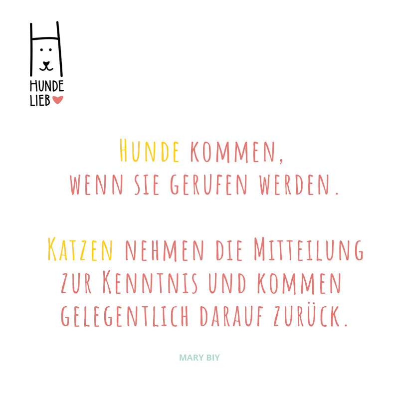 Seid ihr Hunde- oder Katzenmenschen?

#hundesprüche #hundezitate #hundelieb #dogsharing #dogfluencer #dailydoseofdog #dogsharingdeutschland #dogsharingösterreich #dogsharingschweiz #dogcommunity #lovedogs #hund #hunde #leihhund #hundleihen #hundeleben #hundeglück #katze #katzen