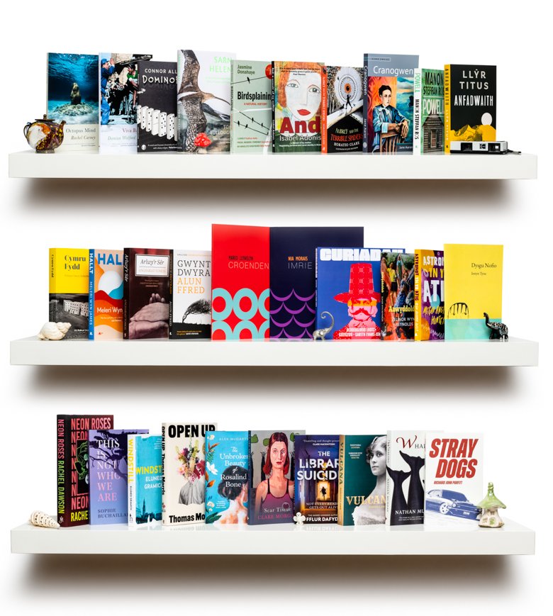 walesliterature's tweet photo. 📣📣 Announcement 📣📣
Our 2023 Bookshelf is here! Follow the link 👇 for this year’s selection, which we will recommend to the international publishing community for translation – starting today at #FrankfurtBookFair 📚🌎🏴🎉
https://t.co/gpFsAA7wwV https://t.co/tVPqUniOau