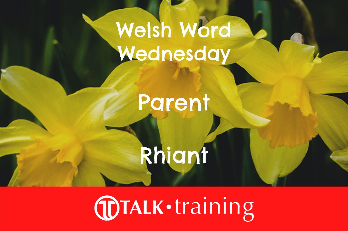 Welsh Word Wednesday – 18/10/2023 – #WelshWednesday talktraining.co.uk/welsh-word-wed…