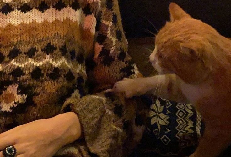 AcademiaDreams's tweet photo. Wednesday 🐈 https://t.co/JXZ9KWXPkB