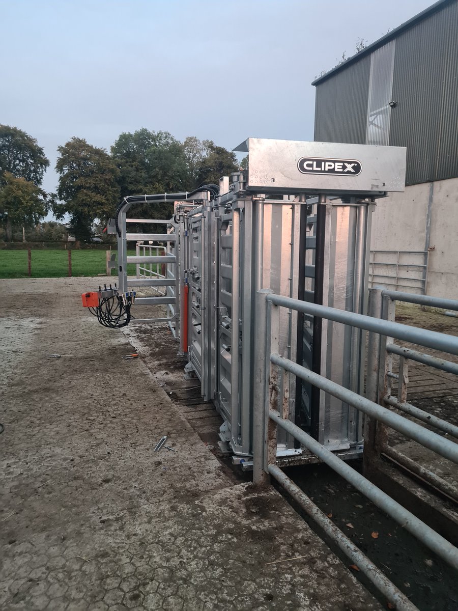 ClipexEurope's tweet photo. Our expert installer, Mattie, is working his magic in County Offaly!  He's currently setting up our top-of-the-line HD 1500 Pneumatic Cattle Crush with an air-operated head scoop and an air-operated 3-way drafter. https://t.co/wGbxd6XXyS