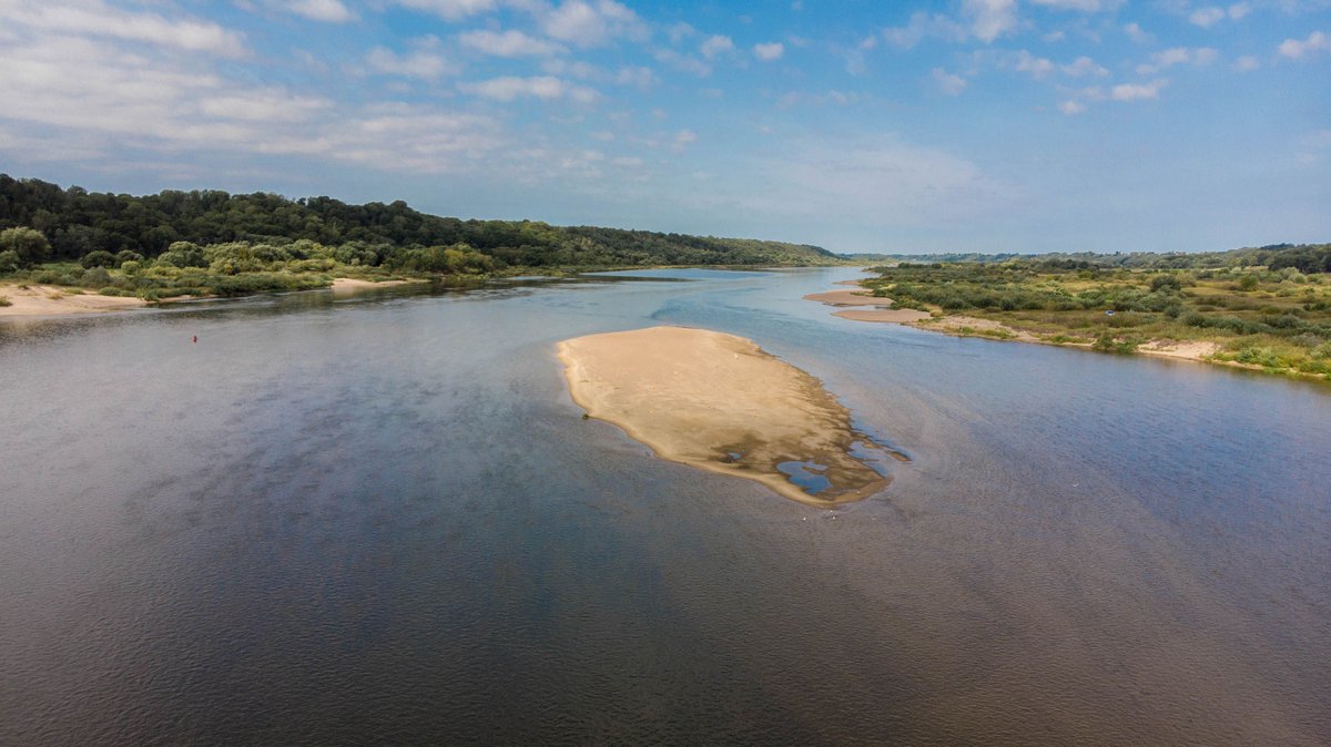 Our Lithuanian Partner is making the largest river in Lithuania, the Nemunas, a suitable home for Little and Common Terns again! 😊

With The Lithuanian Ornithological Society’s guidance and expertise, the Lithuanian Inland Waterways Authority created 23 new sandy and gravel