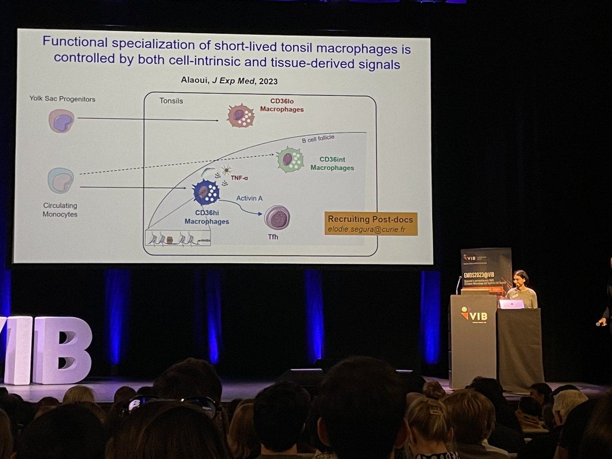 Kate_J_Waller's tweet photo. Another great talk at #EMDS2023 🇧🇪 by Elodie Segura discussing the different macrophage populations in the human tonsil depicted by CD36 expression @VIBConferences https://t.co/Ee6eR3A3Gf