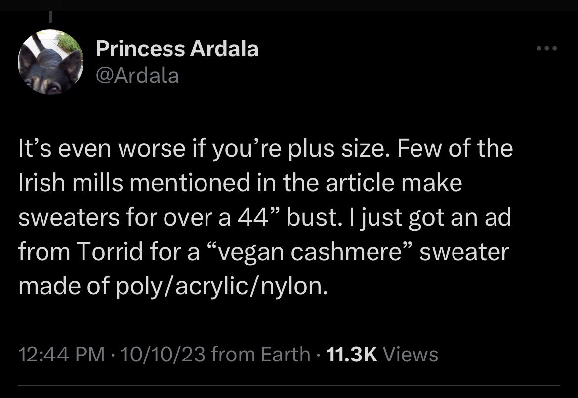 Cora Harrington tweet media