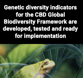 Are the genetic indicators of the Global Biodiversity Framework feasible? Yes. Pre-print out. And THREAD! of major results: #COP15 #SBSTTA25 #GBF @CoalitionConGen @seanmhoban @LindaLaikre @JMergeay @Conserva_Mas et al ecoevorxiv.org/repository/vie…