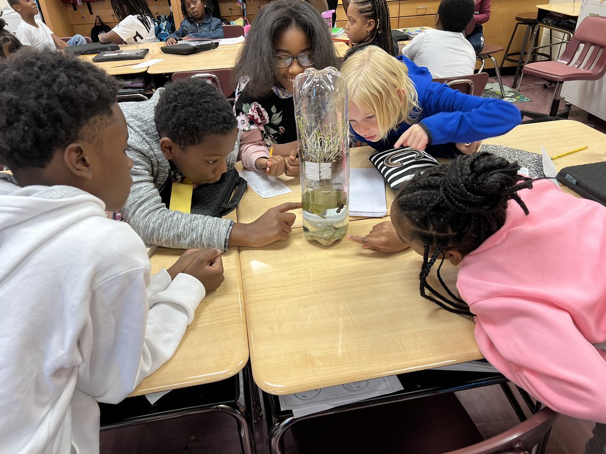 Robin_Heckman5's tweet photo. 4th grade investigating our new friends in our Eco Columns! @RCE_HCS #CLIMB #WeareRACERS https://t.co/cGouCHTbeR