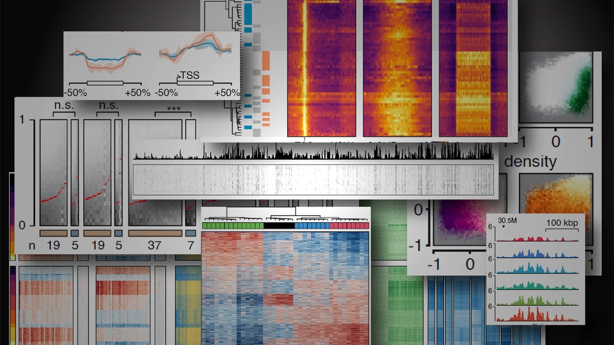 Come work with us!
I am recruiting a 3-yr postdoc for new single-cell seq methods and computation in DNA replication &amp; epigenomics in early embryos.
Closing date Oct 25. More info and how to apply here: jobportal.ku.dk/videnskabelige…
Please RT🙏 #genomics #ChIPseq #epigenetics