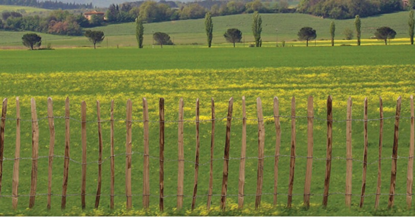 Chestnut pale fencing is an extremely cost effective and easy to erect method of fencing. Purchase chestnut pale fencing today on our website - fhbrundle.co.uk/fencing-and-se… #chesnutfencing #fencing #securityfencing #fence #woodenfencing