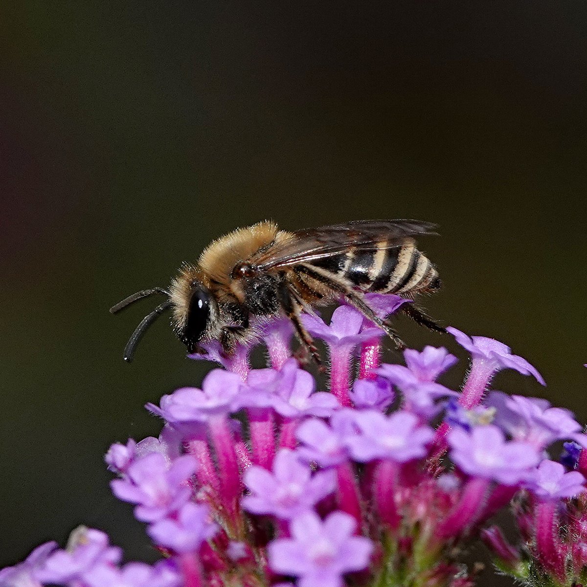 Terry&JudyWood tweet media