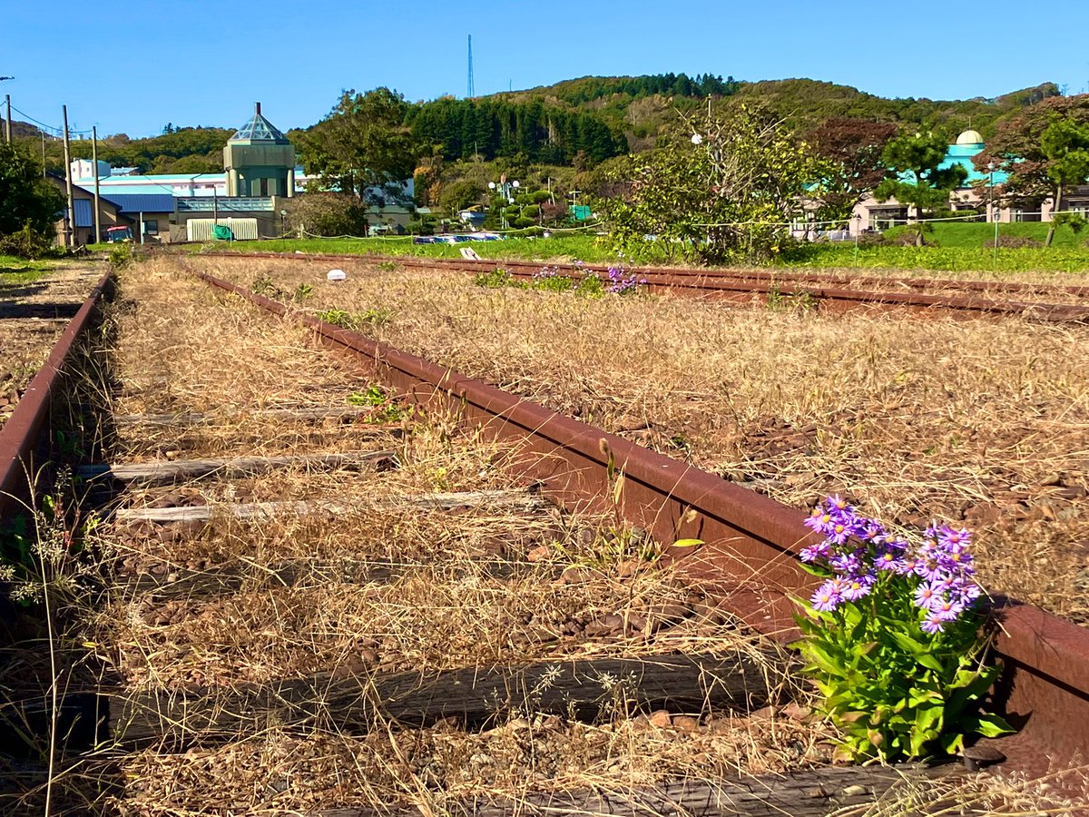 20年振りくらいの幸福駅
襟裳岬はずっと行きたかったから行けてよかった
日高本線の廃駅を見ながら北上
楽しい旅行もあっという間😉