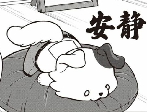 今月のかわ乾 本編で探してみてください🐶🔍  #この探偵犬かもしれない