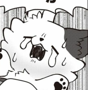 今月のかわ乾 本編で探してみてください🐶🔍  #この探偵犬かもしれない