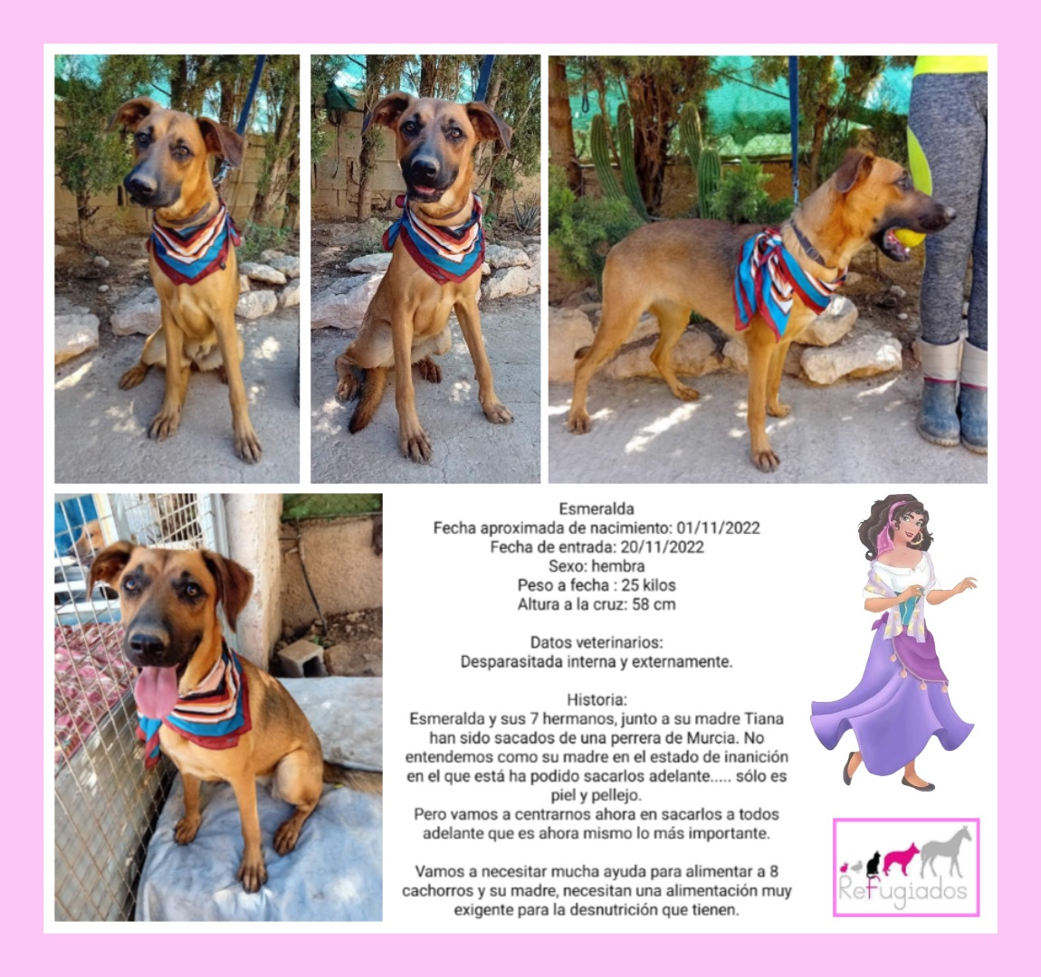 Esmeralda
facebook.com/media/set/?set…