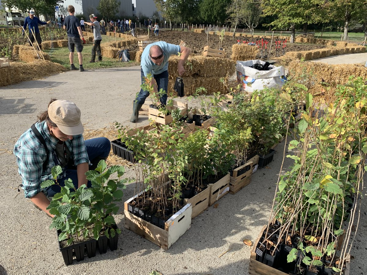 Aema_Groupe's tweet photo. 🌳 #MicroForêt : engagés pour la préservation de la #biodiversité locale, les collaborateurs des marques Aéma Groupe @MacifAssurances et #OfiInvestRealEstate (re)passent à l'action. En 10 ans, la mortalité des arbres dans nos forêts a augmenté de près de 80%. Mobilisons-nous ! https://t.co/hgwxx1sHnL