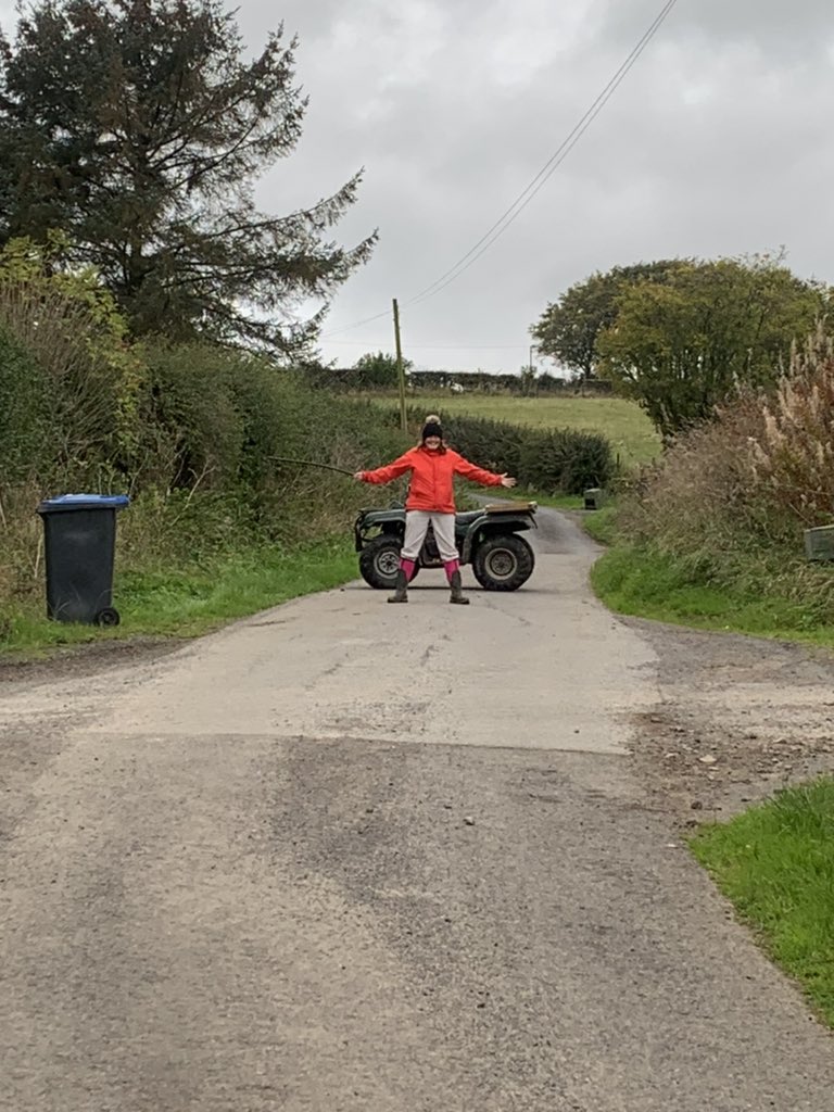 beirhopealpacas's tweet image. Do you know what we are doing? 🐮 No cow got passed  - along with Nicky we are the A team. 😂 #movingcows #bluepipe