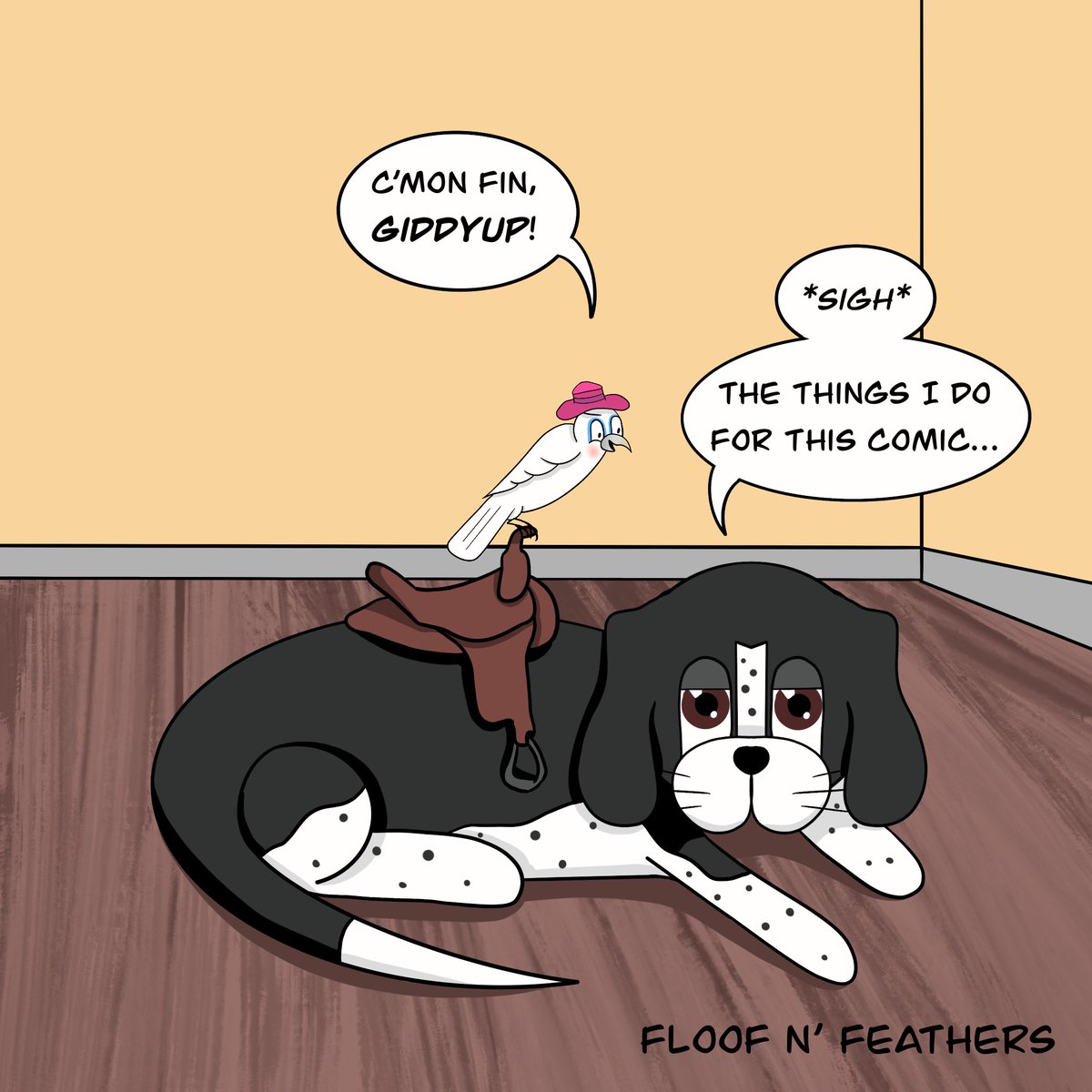 Floof n' Feathers tweet media