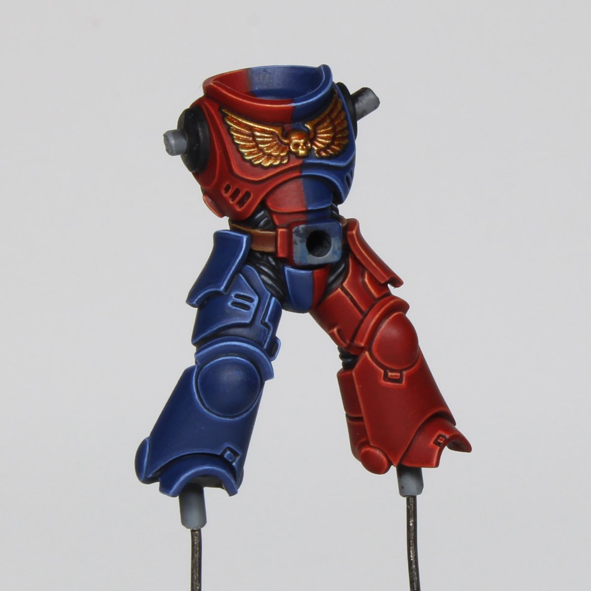 ZarenaDT tweet media