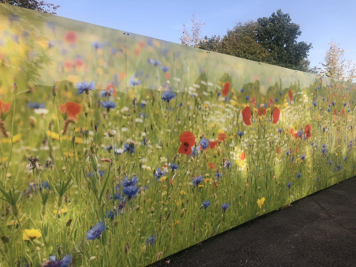 Hobs Repro tweet media