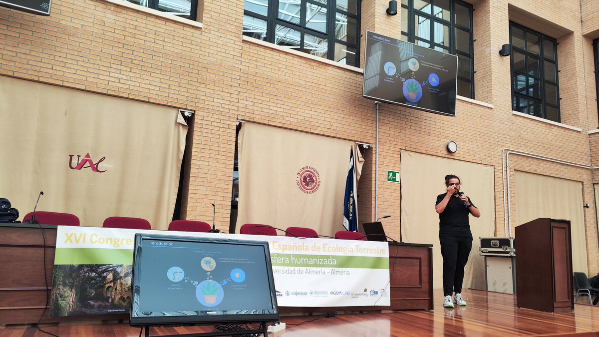 <a href="/MBlanco_Sanchez/">Mario Blanco Sánchez</a> telling us about the adaptive role of transgenerstional plasticity at evolutionary ecology symposium of the #aeet2023 congress. <a href="/BiodiversosU/">biodiversos.urjc</a> @FXPicoMercader <a href="/carlos_lara0/">Carlos Lara-Romero, Ph.D</a>