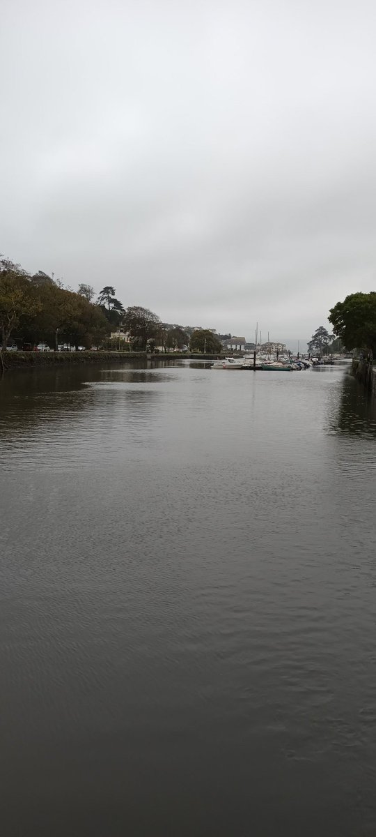 The tropical plats in Kingsbridge love this warm, moist weather. The storm may be coming, but for now, we will enjoy the autumn colour.