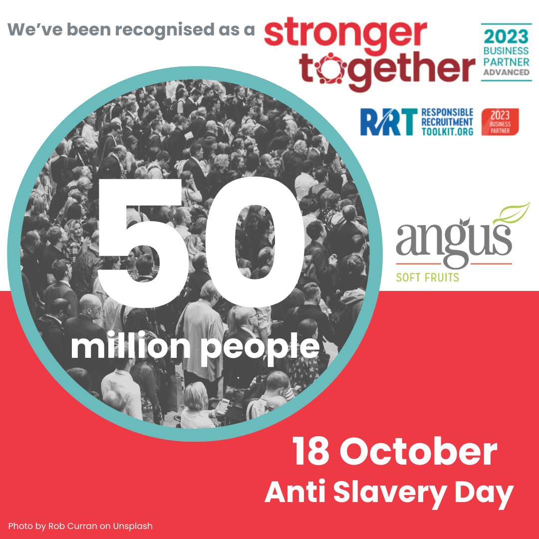 Angus Soft Fruits (@angussoftfruits) on Twitter photo Today is <a href="/S2G_UK/">Stronger Together</a> Anti-Slavery Day. 50 million people still live in modern slavery.
We work year-round to mitigate the risks of modern slavery by being a Stronger Together business partner. Find out what this means here:
ow.ly/uLtp50PY3EA
#AntiSlaveryDay #StrongerTogether Today is <a href="/S2G_UK/">Stronger Together</a> Anti-Slavery Day. 50 million people still live in modern slavery.
We work year-round to mitigate the risks of modern slavery by being a Stronger Together business partner. Find out what this means here:
ow.ly/uLtp50PY3EA
#AntiSlaveryDay #StrongerTogether
