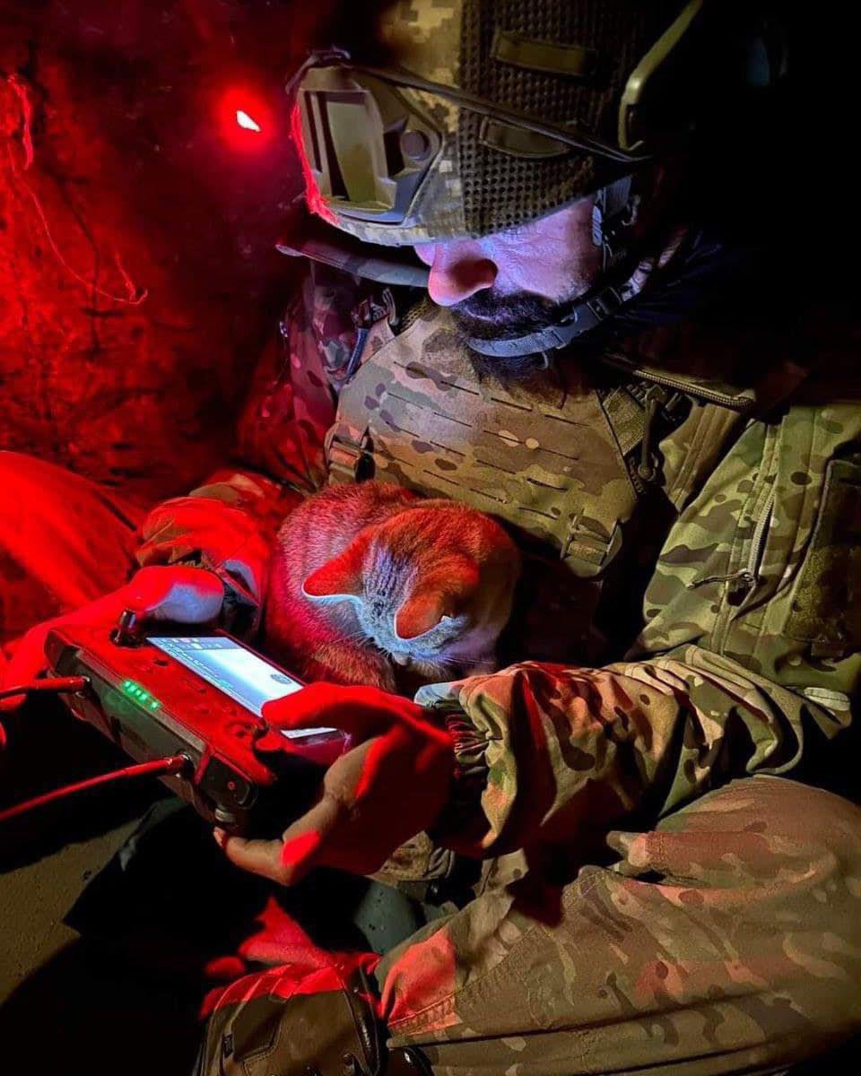 Ukrainian soldier and his cat about to smash a suicide drone into a Russian target
