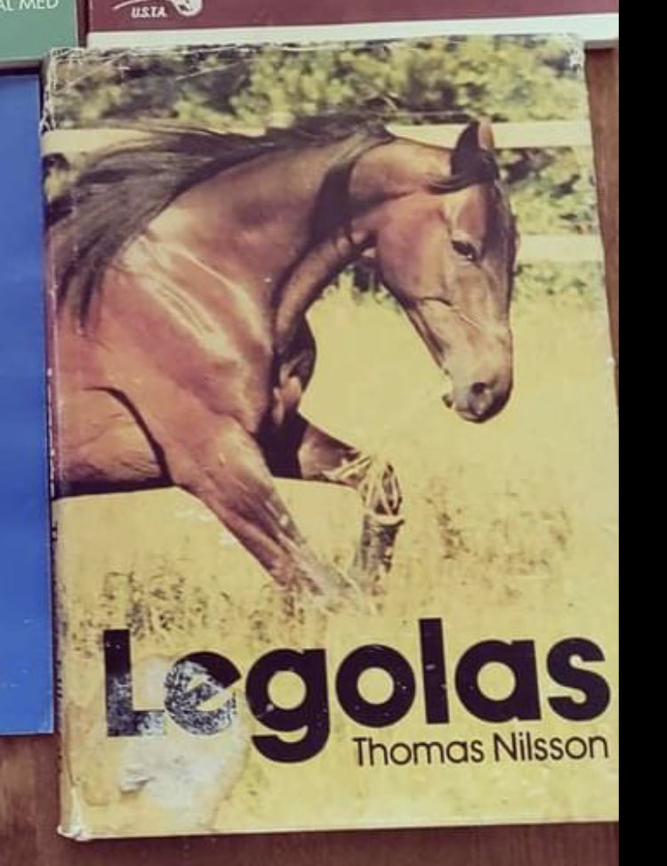 ankinyberg's tweet photo. Vanhassa vara parempi? Siivouspäivä kirjahyllyssä, äidin kirjat 80-luvulta saa jälkikasvun tappelemaan , kuka lukee ensin 📔📓#ravit #älskatrav #legolas #StigH #oppiaikäkaikki https://t.co/Ixq58gVyDW