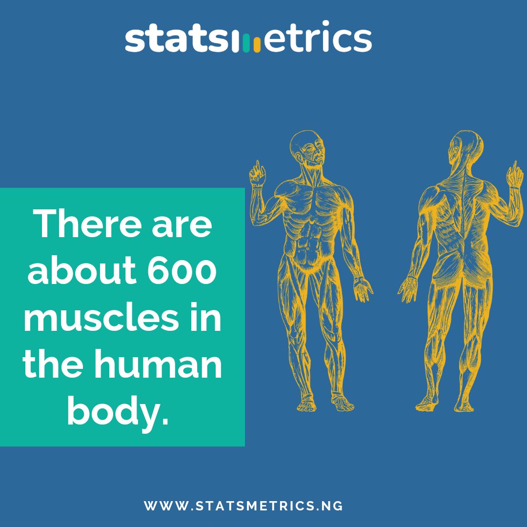 statsmetrics_ng's tweet photo. Dive into the incredible world of the human body! 🌟 Did you know these 5 mind-blowing facts?

 Learn more at https://t.co/DRHArUGrXT 

#humanbodyfacts #fascinatingbiology #bodywonders #statsmetricsdiscovery #mindblownfacts #biologymagic #humanbodyrevealed #curiousminds https://t.co/1cgzSOmoZJ