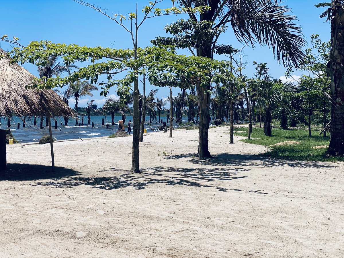 LoneChildMJB's tweet photo. REMINDER ALERT 🚨 

#OguzuluBeachExp is on🔥 Mark the dates 9th-10th December. 

@ZionEscapes1 plans to bring you the best beach 🏝️ vibes &amp; experience. 

At only 150k UGX covering- Transport, Meals, accommodation (camping), entrance.

NB: Cottages to be paid for separately. https://t.co/ps5lZoeKtK